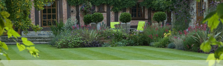 BALI Award Winning garden, Decking, British Association of Landscape Industries, Clifford Chambers, Stratford upon Avon, Box ball, Box spheres